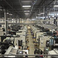 Heavy Plants Heavy Plants